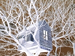 Treehouse